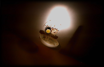 smoke detector